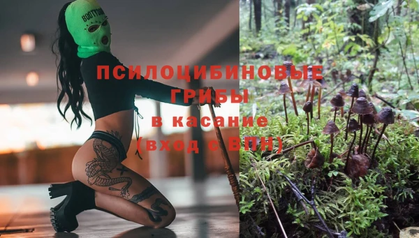 стаф Белоозёрский