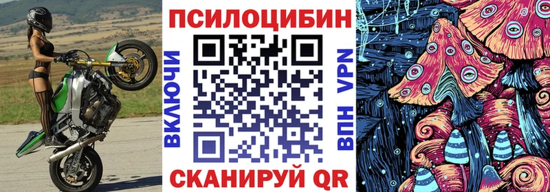 Галлюциногенные грибы мицелий  Короча 